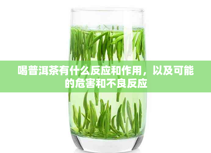 喝普洱茶有什么反应和作用，以及可能的危害和不良反应