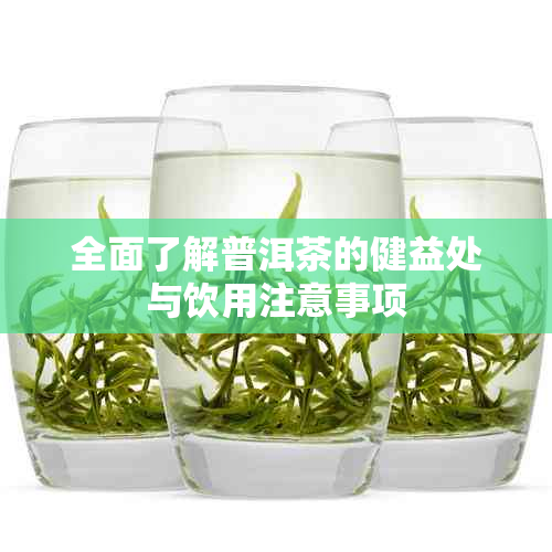 全面了解普洱茶的健益处与饮用注意事项