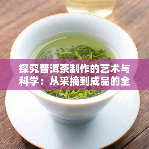 探究普洱茶制作的艺术与科学：从采摘到成品的全方位解析