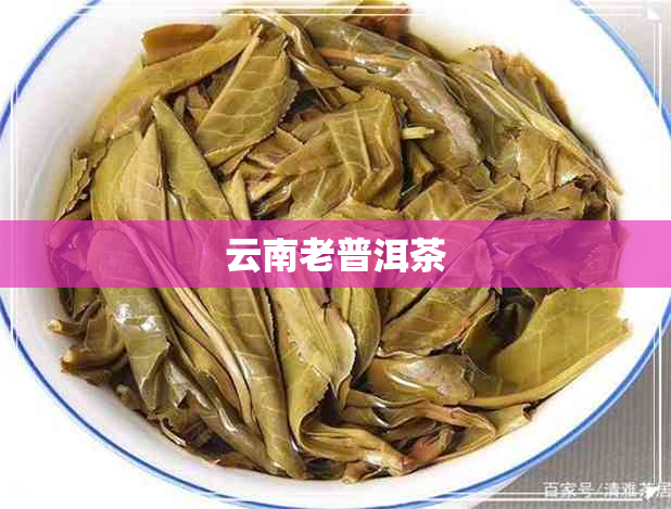 云南老普洱茶