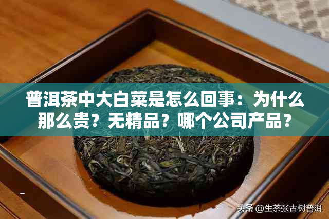 普洱茶中大白菜是怎么回事：为什么那么贵？无精品？哪个公司产品？