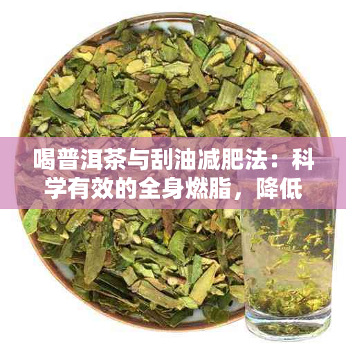 喝普洱茶与刮油减肥法：科学有效的全身燃脂，降低体脂肪含量的真实体验分享