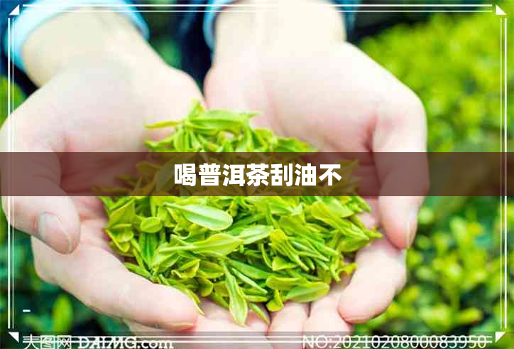 喝普洱茶刮油不