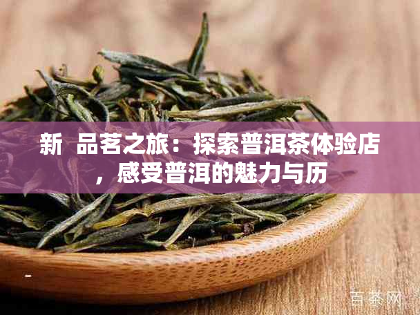 新  品茗之旅：探索普洱茶体验店，感受普洱的魅力与历