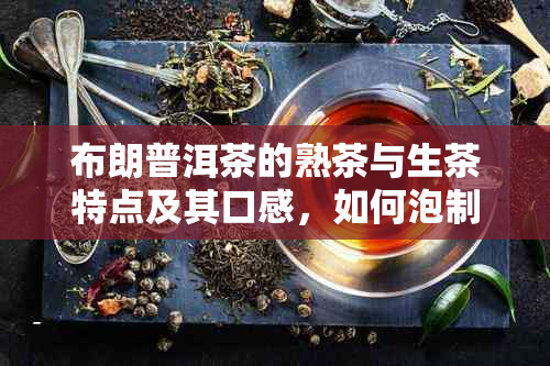 布朗普洱茶的熟茶与生茶特点及其口感，如何泡制布朗普洱茶？