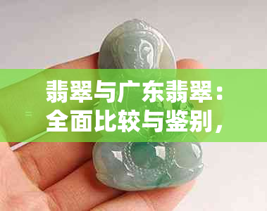 翡翠与广东翡翠：全面比较与鉴别，让你轻松掌握两者差异！