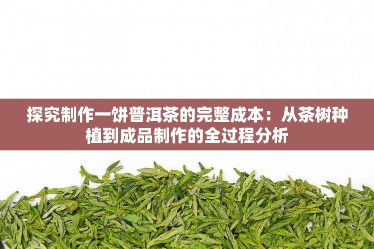 探究制作一饼普洱茶的完整成本：从茶树种植到成品制作的全过程分析