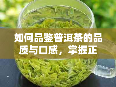 如何品鉴普洱茶的品质与口感，掌握正确的饮用方法