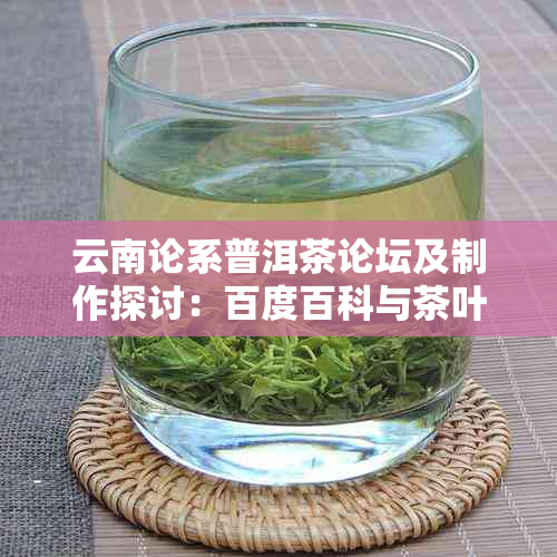 云南论系普洱茶论坛及制作探讨：百度百科与茶叶文化关联