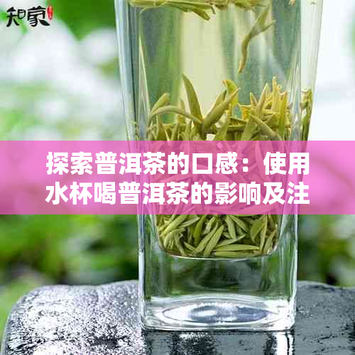 探索普洱茶的口感：使用水杯喝普洱茶的影响及注意事项