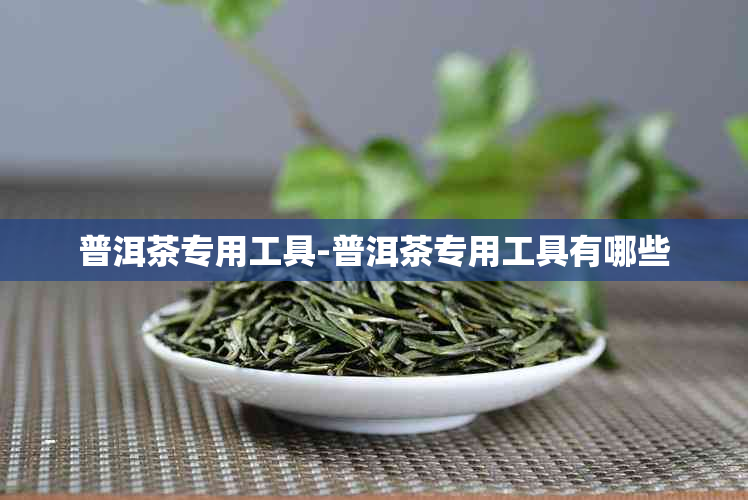 普洱茶专用工具-普洱茶专用工具有哪些