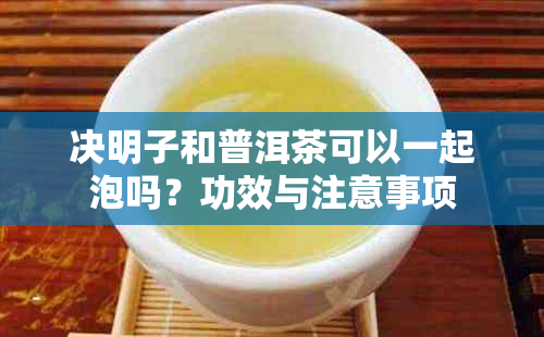 决明子和普洱茶可以一起泡吗？功效与注意事项