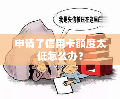 申请了信用卡额度太低怎么办？