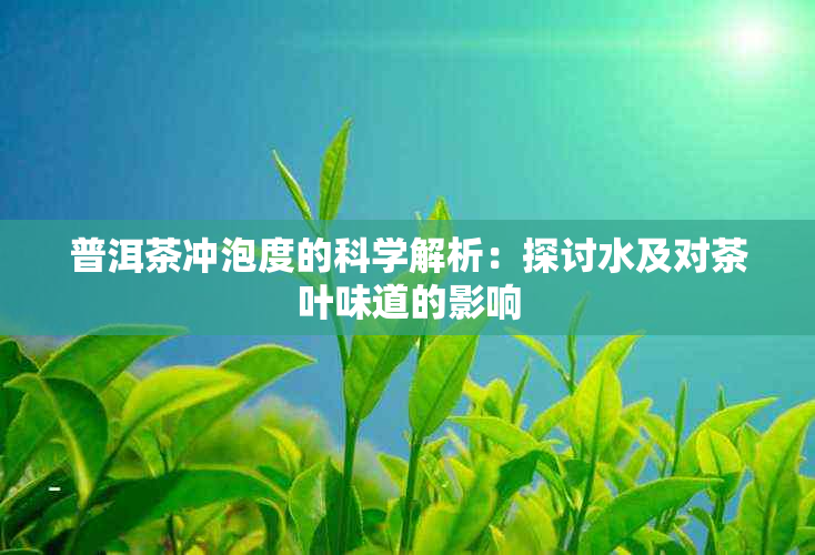 普洱茶冲泡度的科学解析：探讨水及对茶叶味道的影响