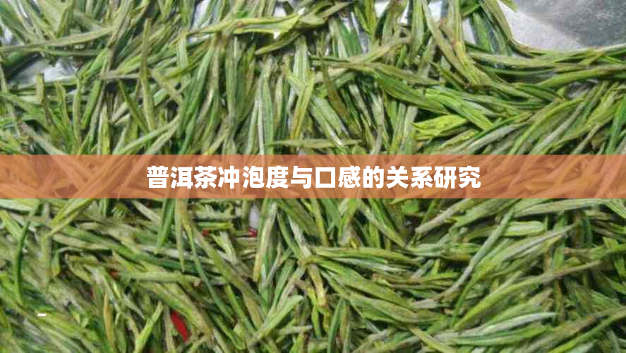 普洱茶冲泡度与口感的关系研究