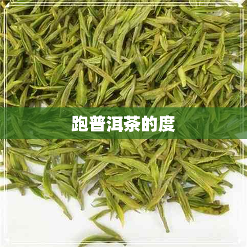 跑普洱茶的度