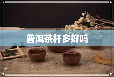 普洱茶杆多好吗