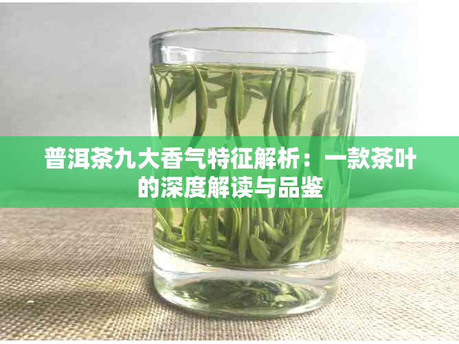 普洱茶九大香气特征解析：一款茶叶的深度解读与品鉴