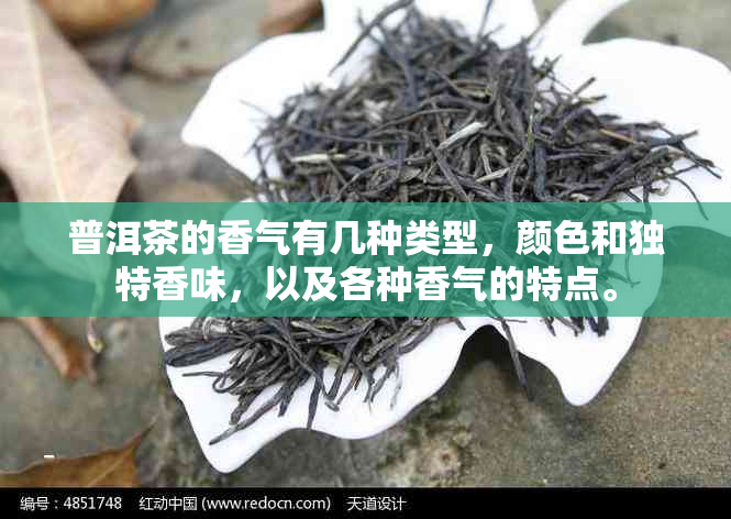 普洱茶的香气有几种类型，颜色和独特香味，以及各种香气的特点。