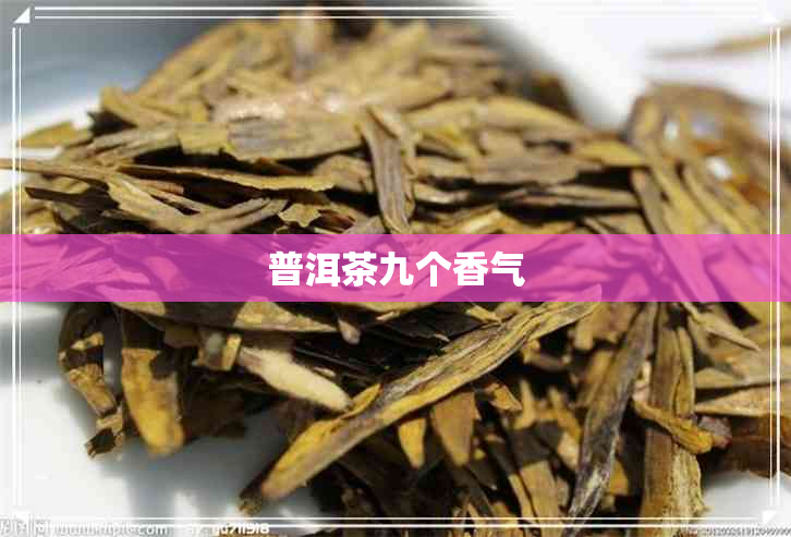 普洱茶九个香气