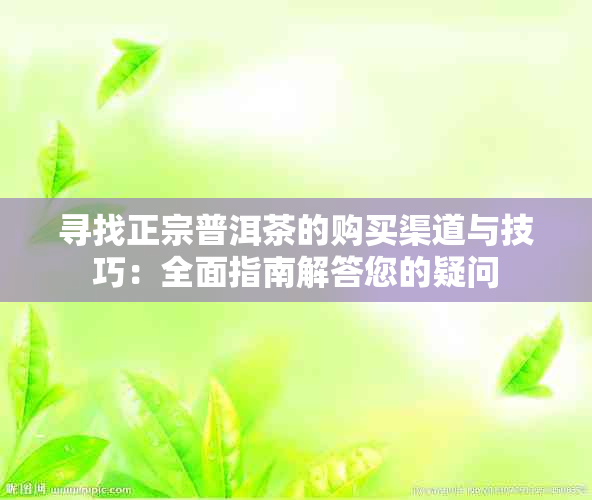 寻找正宗普洱茶的购买渠道与技巧：全面指南解答您的疑问