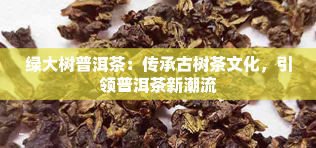 绿大树普洱茶：传承古树茶文化，引领普洱茶新潮流