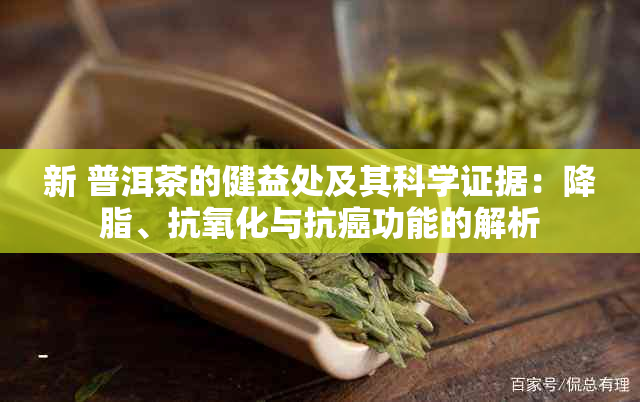 新 普洱茶的健益处及其科学证据：降脂、抗氧化与抗癌功能的解析