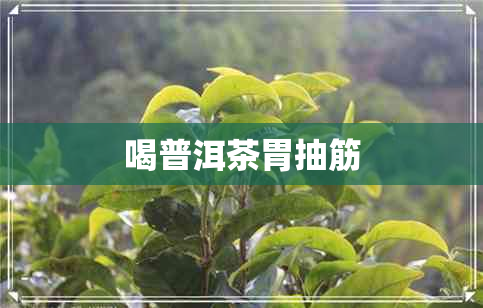 喝普洱茶胃抽筋