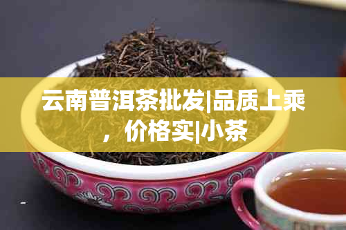 云南普洱茶批发|品质上乘，价格实|小茶