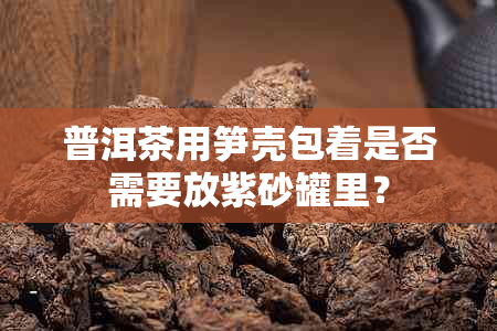 普洱茶用笋壳包着是否需要放紫砂罐里？