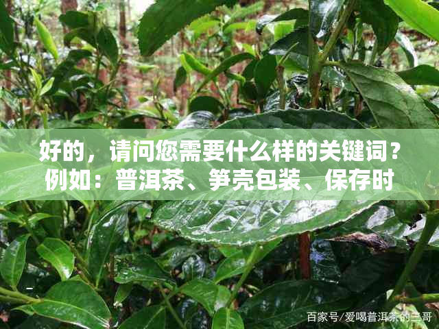 好的，请问您需要什么样的关键词？例如：普洱茶、笋壳包装、保存时间等。