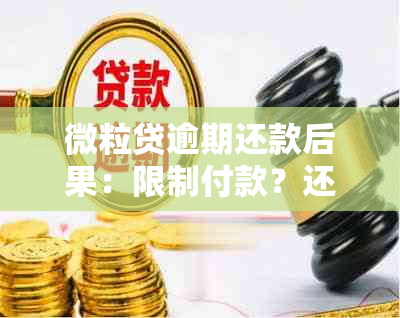 微粒贷逾期还款后果：限制付款？还有哪些影响？