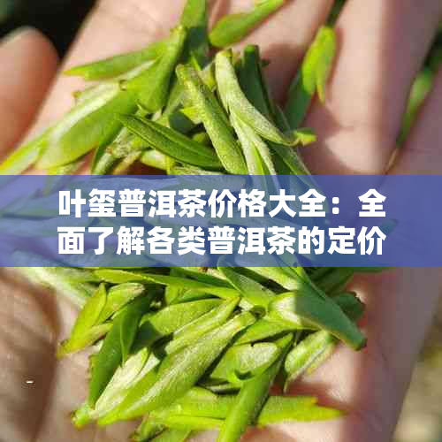 叶玺普洱茶价格大全：全面了解各类普洱茶的定价及购买建议