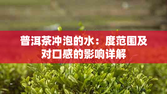 普洱茶冲泡的水：度范围及对口感的影响详解