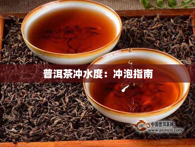 普洱茶冲水度：冲泡指南