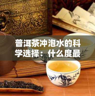 普洱茶冲泡水的科学选择：什么度最适合泡普洱茶？