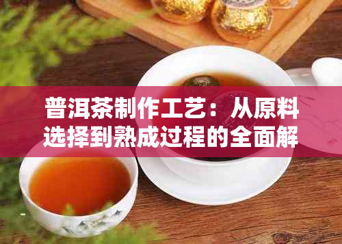 普洱茶制作工艺：从原料选择到熟成过程的全面解析