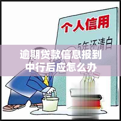 逾期贷款信息报到中行后应怎么办