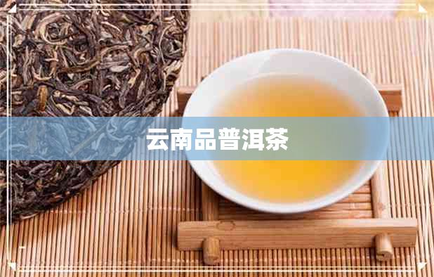 云南品普洱茶