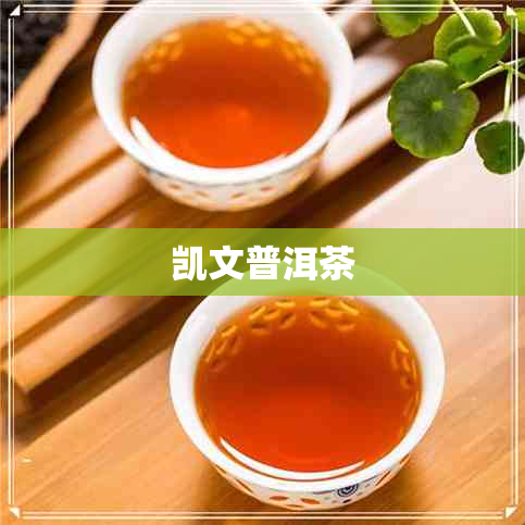 凯文普洱茶