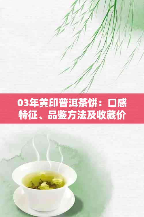 03年黄印普洱茶饼：口感特征、品鉴方法及收藏价值全面解析