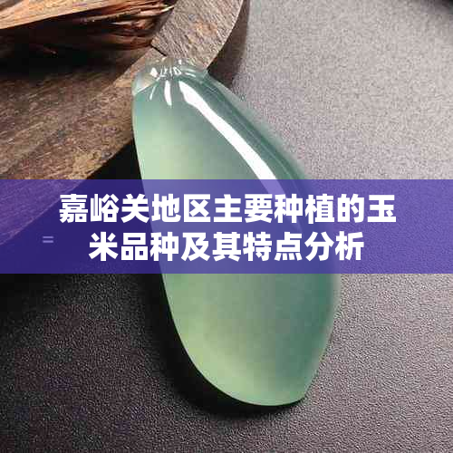 嘉峪关地区主要种植的玉米品种及其特点分析