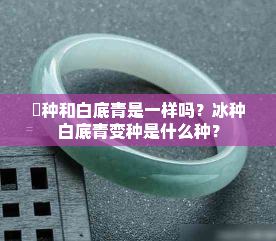 糥种和白底青是一样吗？冰种白底青变种是什么种？