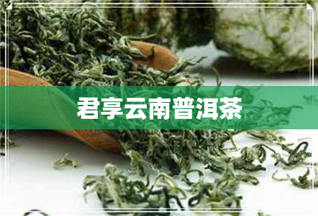 君享云南普洱茶