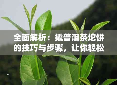 全面解析：撬普洱茶坨饼的技巧与步骤，让你轻松掌握泡出好茶的方法