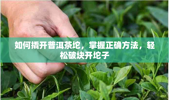 如何撬开普洱茶坨，掌握正确方法，轻松破块开坨子