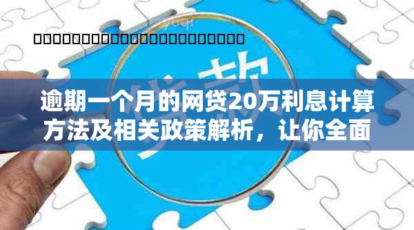 逾期一个月的网贷20万利息计算方法及相关政策解析，让你全面了解还款影响