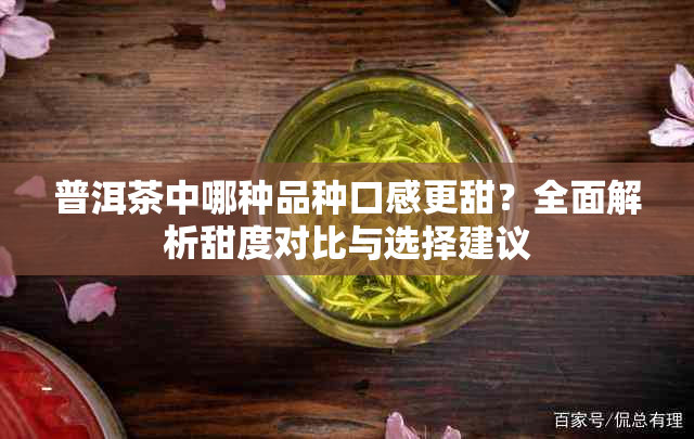 普洱茶中哪种品种口感更甜？全面解析甜度对比与选择建议