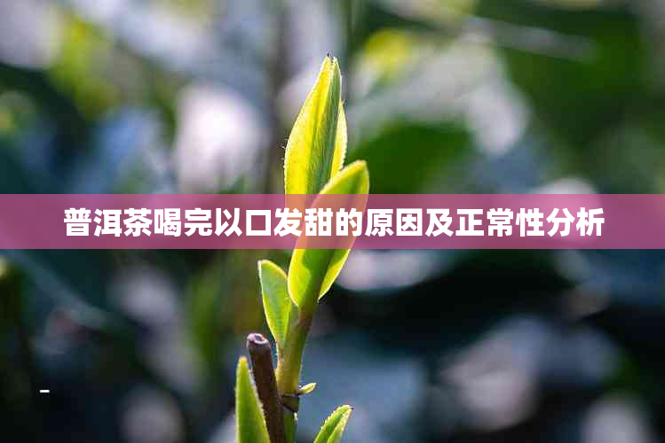 普洱茶喝完以口发甜的原因及正常性分析