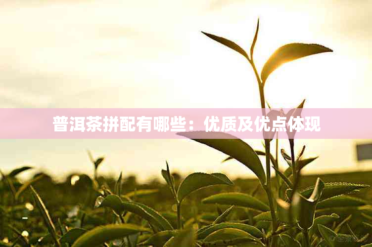 普洱茶拼配有哪些：优质及优点体现